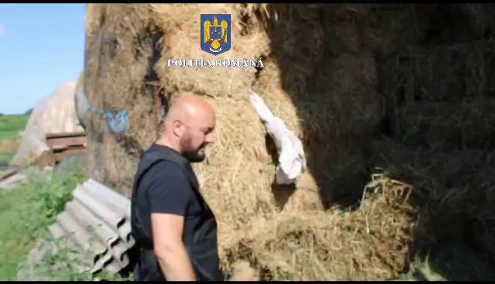 Armă letală ascunsă într-o căpiță de fân. Cât a costat pușca pe piața neagră VIDEO