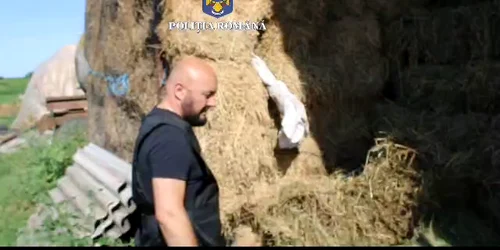 Video depistare arma letala de vanatoare mp4 thumbnail png