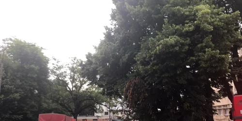 incediu iaşi