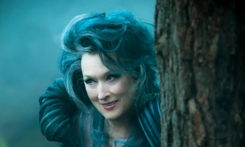 meryl streep into the woods png