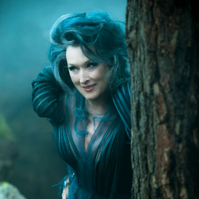 meryl streep into the woods png