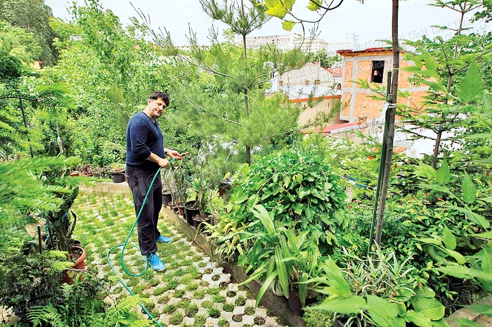 Tavi Colen munceşte zilnic câteva ore în grădină (Fotografii: Dan Bistriţeanu)