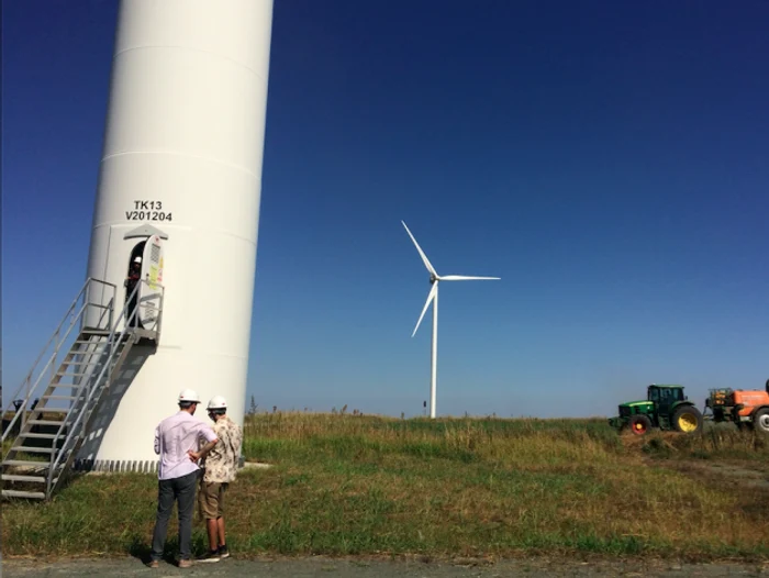 Parcul eolian - turbine eoliene Făcăeni Ialomiţa Foto Sînziana Ionescu