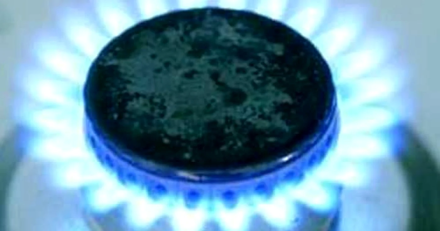 Companiile private cer majorarea preţului plătit de populaţie la energie şi gaze