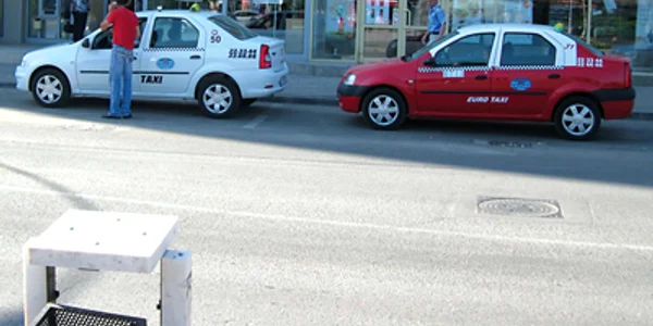 Hunedoara: Clienţii uituci au uitat până şi câini în taxi