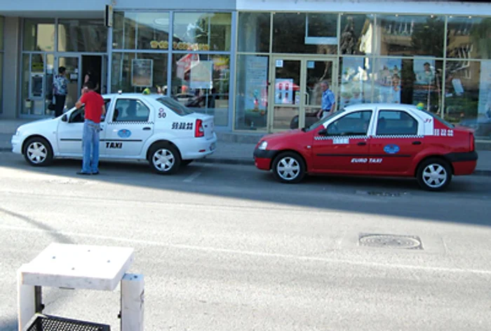 Hunedoara: Clienţii uituci au uitat până şi câini în taxi