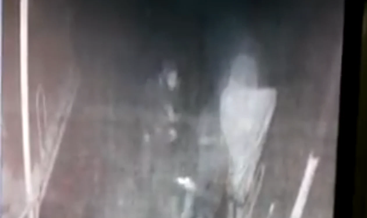
    Agresorul a fost surprins de camerele de supravegherefoto: captură  