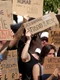 protest 1 jpg