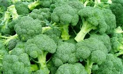 broccoli index 0 jpeg