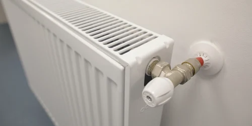 ID181759 INQUAM Photos Octav Ganea jpg