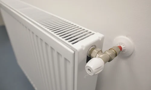 ID181759 INQUAM Photos Octav Ganea jpg