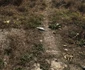 Imagini de la operaţiunea de salvare a femeii care a supravietuit două zile într-o fântănă Sălătrucel Vâlcea Foto Adevărul
