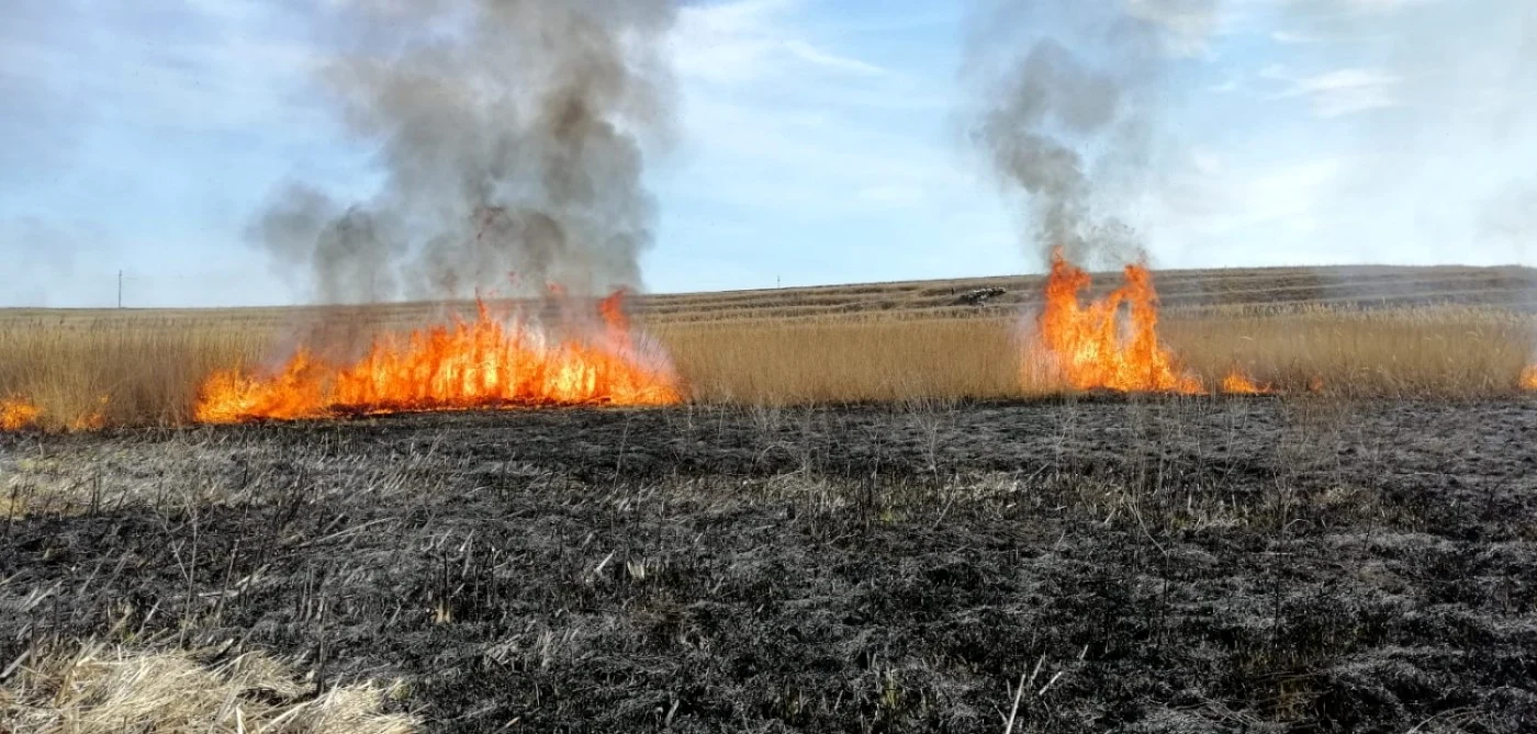 Imagine de la unul dintre incendiile stinse de pompieri  FOTO: ISU Teleorman
