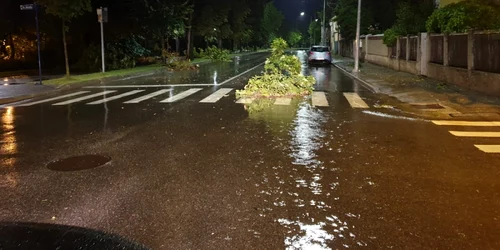 furtuna puternica in mehedinti 