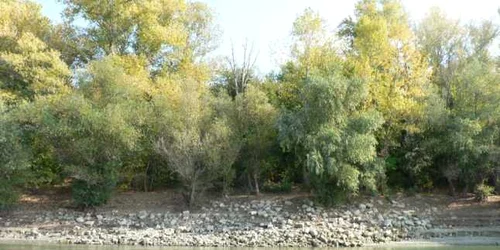 calarasi pescuit