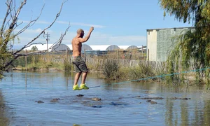 24 peglob 1 pe sarma jpeg