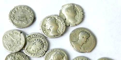 „Comorile carpilor“