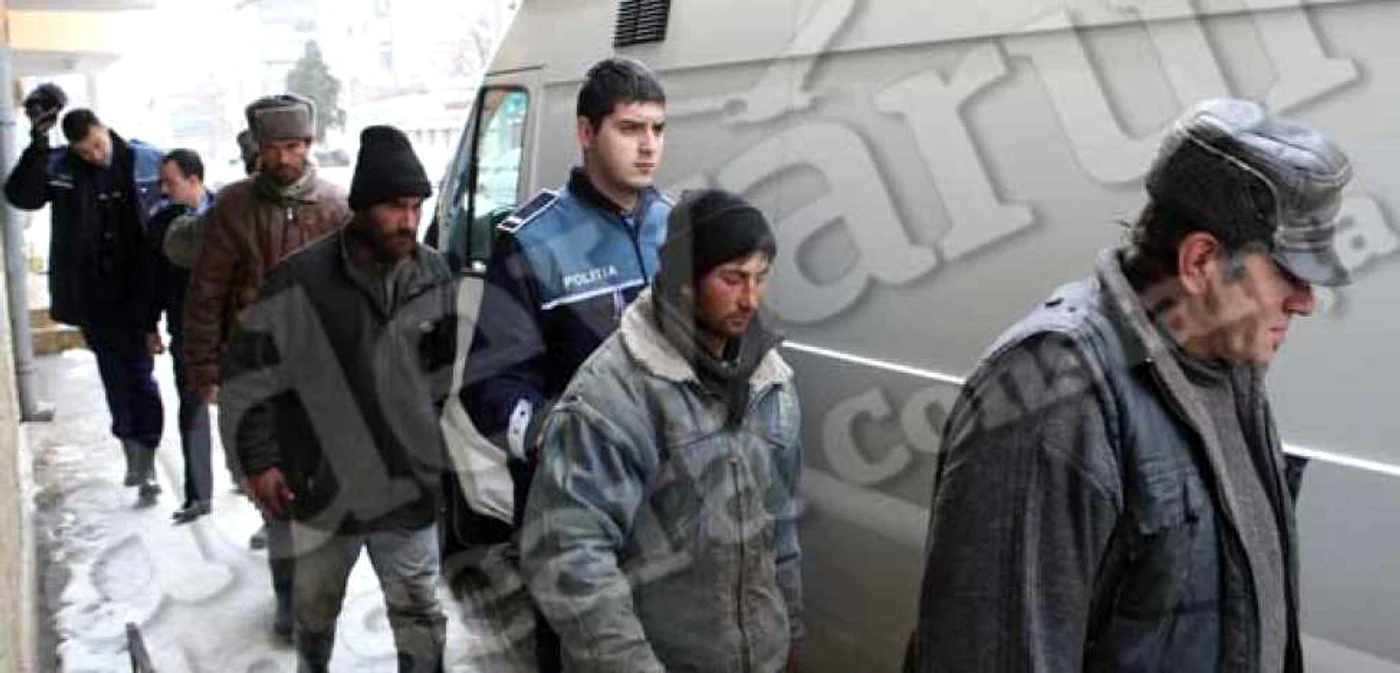 Constanţa: Ciobanii au fost aduşi la Parchet pentru a fi audiaţi