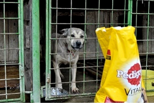 1 65032 original jpg jpeg