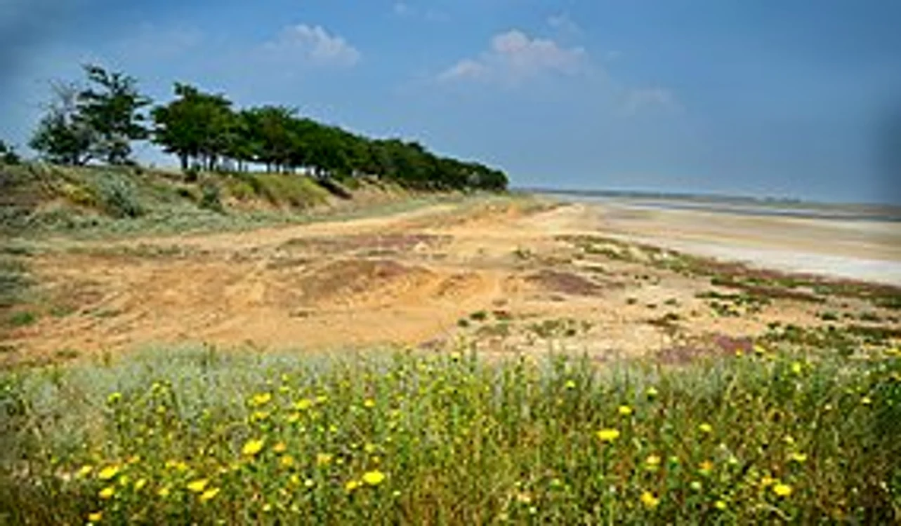 Foto: Wikipedia