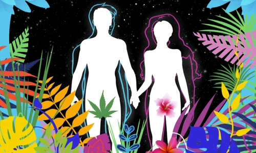 1 69994 original jpg jpeg