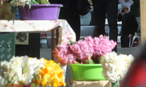 La un moment dat, Mihai Stoica și mama lui au trecut pe lângă o florărie jpeg