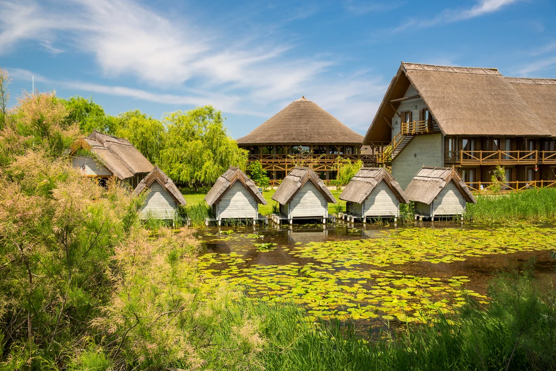 Casele cu stuf din Delta Dunării. FOTO: Shutterstock