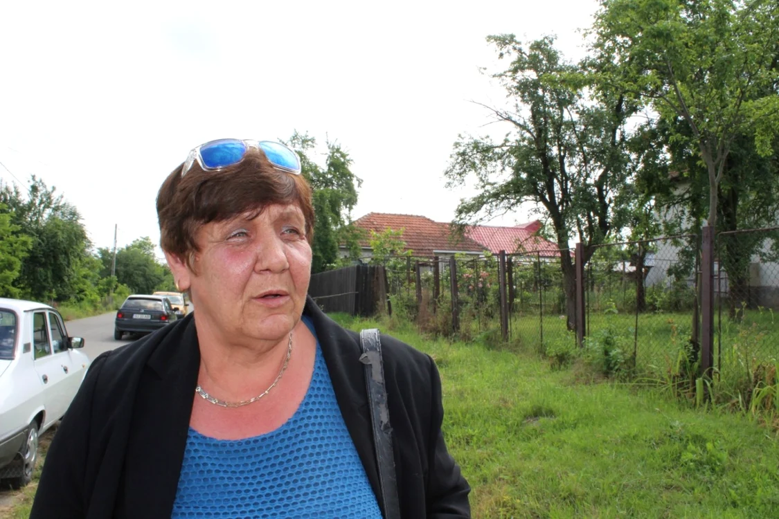 Dăneşti