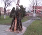 Crăciun sârbesc la Timişoara FOTO Ştefan Both