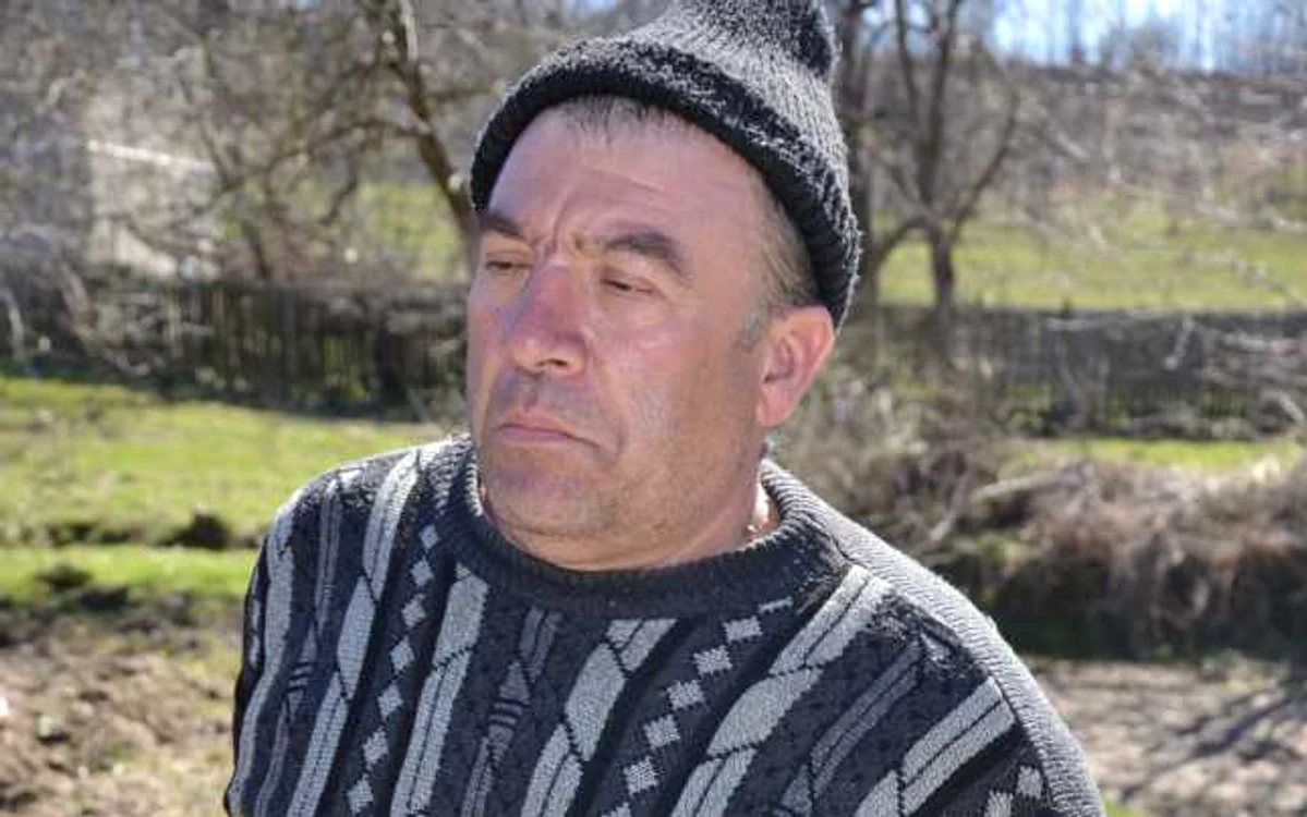 Licurici