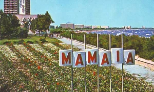 Mamaia   o experienţă socialistă jpeg