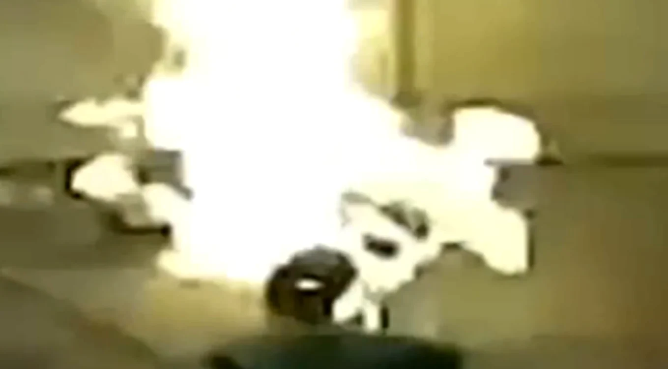 Căţel incendiat de viu