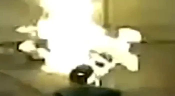 Căţel incendiat de viu