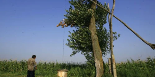 "Ciuturile scot din fântână nămol"