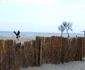 mamaia   litoral   marea neagra   lucian muntean 09 JPG