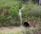 inundatii la mehedinti FOTO Corina Macavei