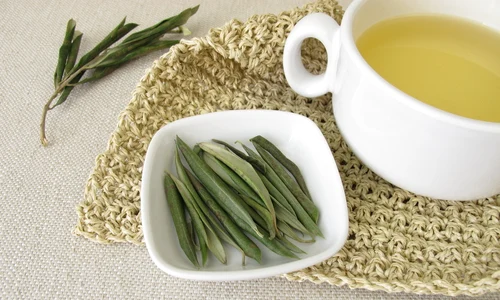 1 ceai din frunze de maslin jpg jpeg