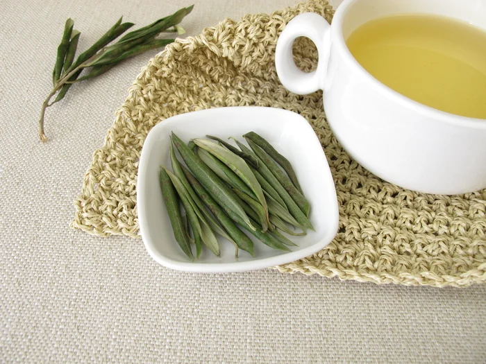 1 ceai din frunze de maslin jpg jpeg