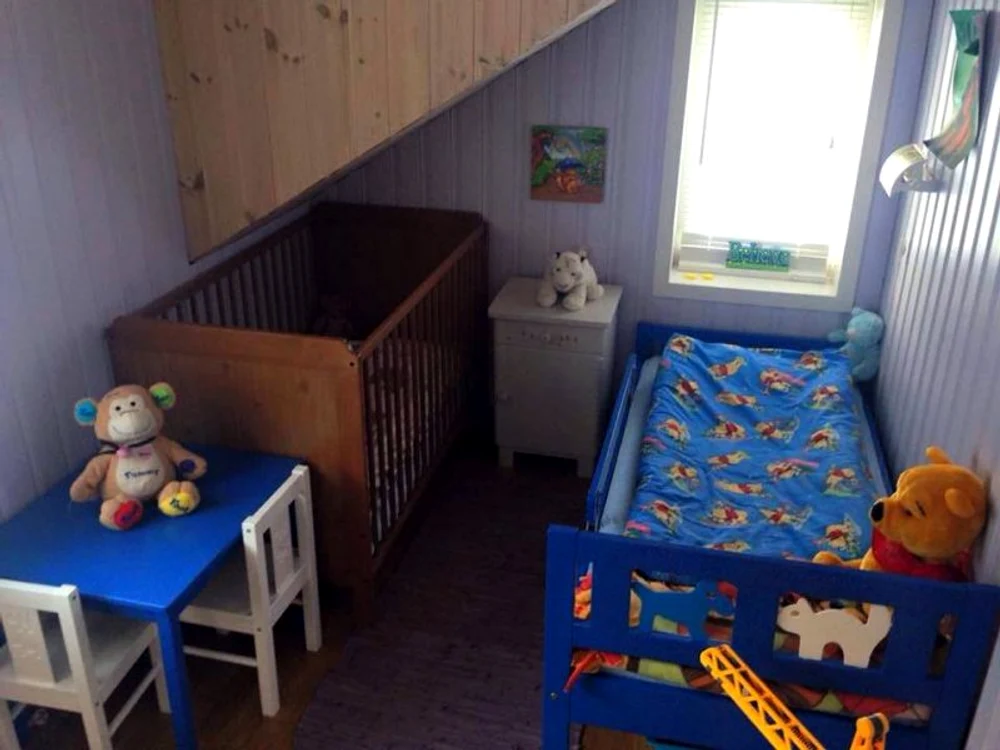 Copiii erau crescuţi într-un mediu sănătos