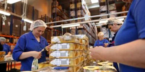 Timişoara: Vor fi 55.000 de şomeri în Vestul ţării până la sfârşitul verii