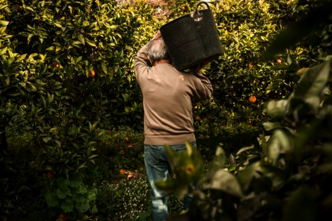 Sergi Villanueva winner Sony WPA 2019