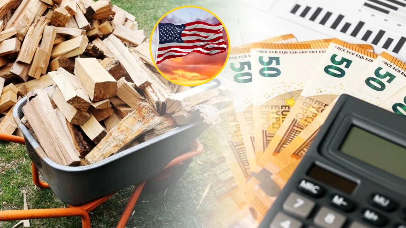 Cât costă lemnele de foc în America? 