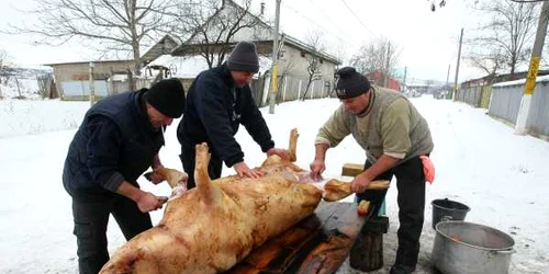 Cei mai mulţi români sacrifică porcii de sărbătoarea Ignatului