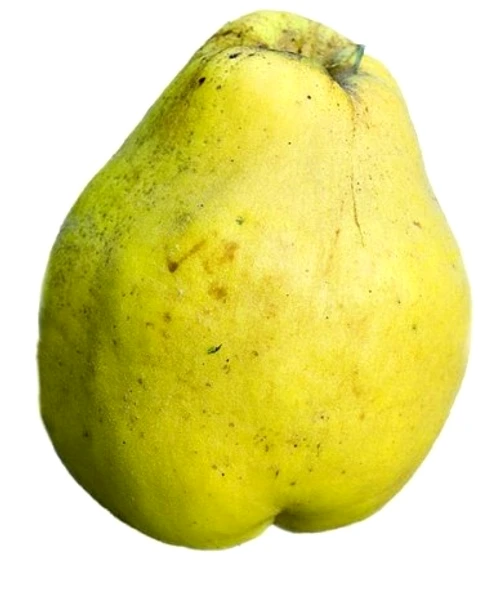 1 2 jpg jpeg