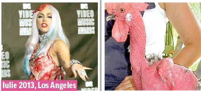 Martie 2014, New York (Fotografii: guliver/ splashnews/ photoland/ wenn/ reuters)