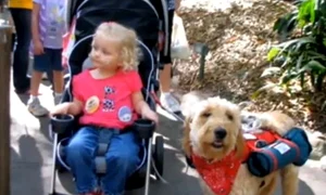 CLIIMA20120315 0184 1 jpeg