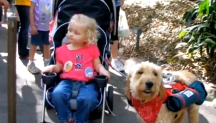 
    Alida îl iubeşte pe Domnul Gibbs  