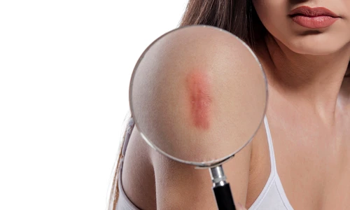 1 shutterstock 2007755561 jpg jpeg