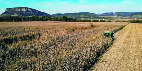 Culturile care ar fi trebuit culese acum vor fi recoltate abia peste 3 săptămâni FOTO revista fermierului