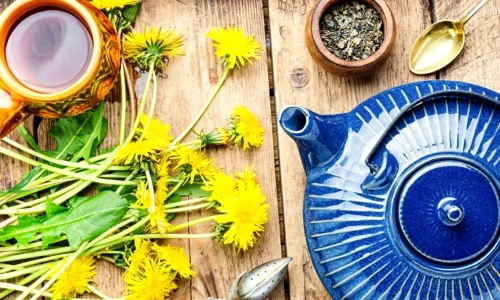 plante depurative jpg